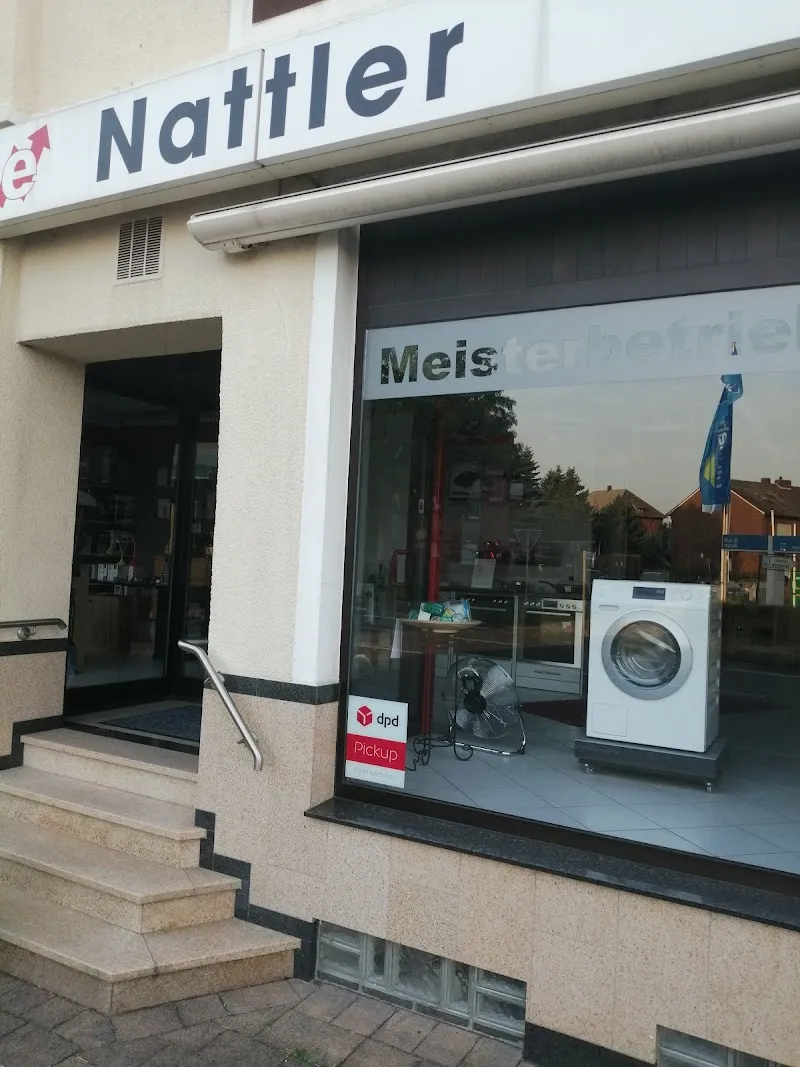 Elektro Nattler
