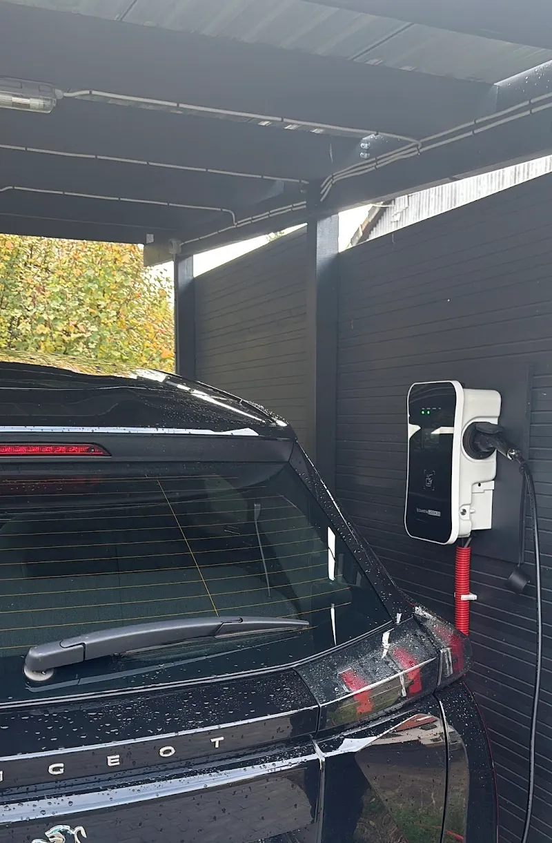 Herbst Elektroinstallation