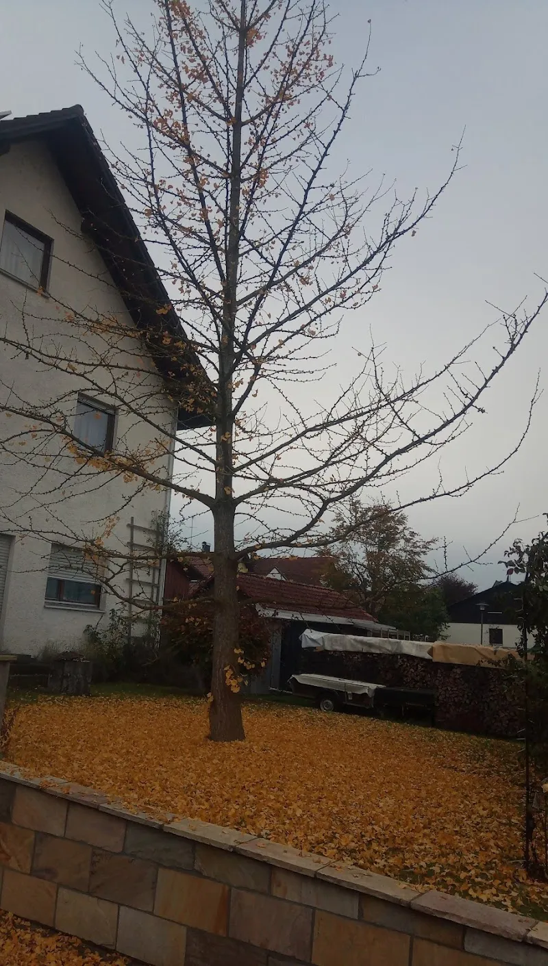 Luitfried Kaspar GmbH
