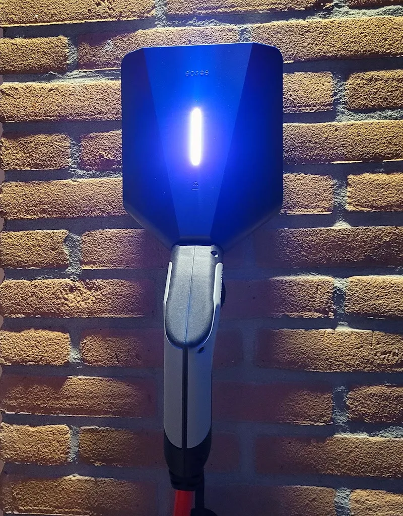 ProMaFo