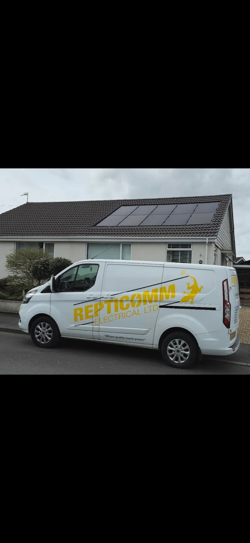 Repticomm Electrical