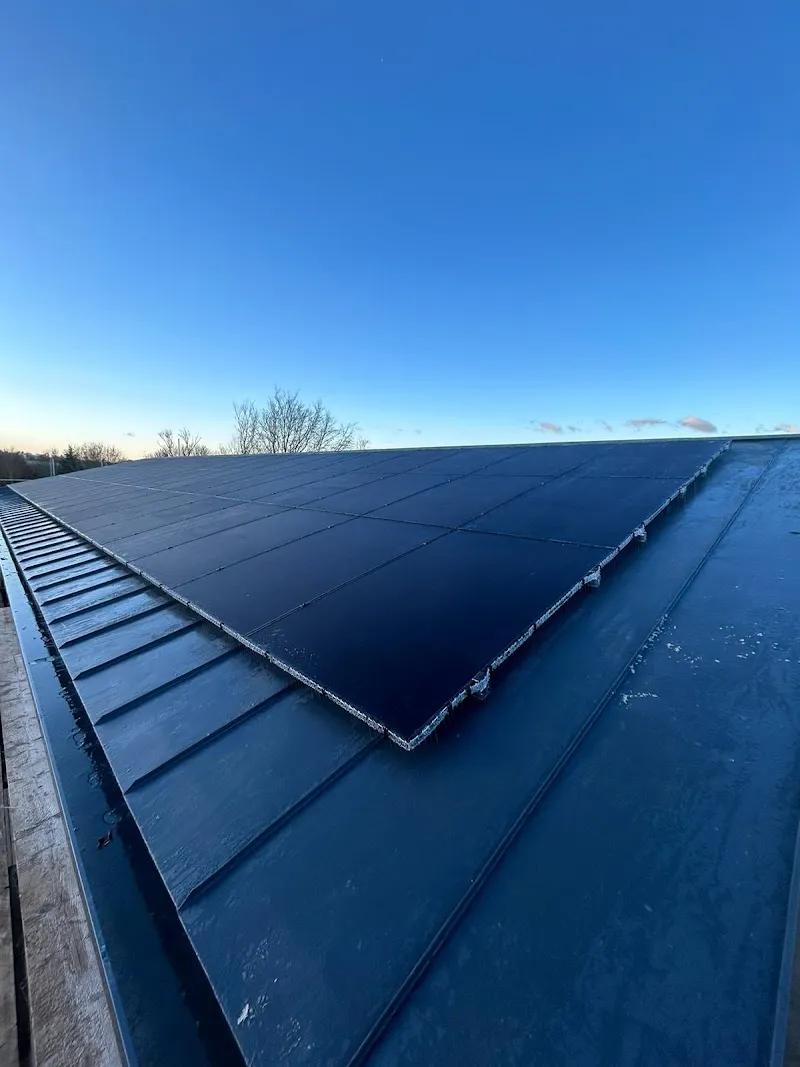 Sustainable Electrical Services Ltd