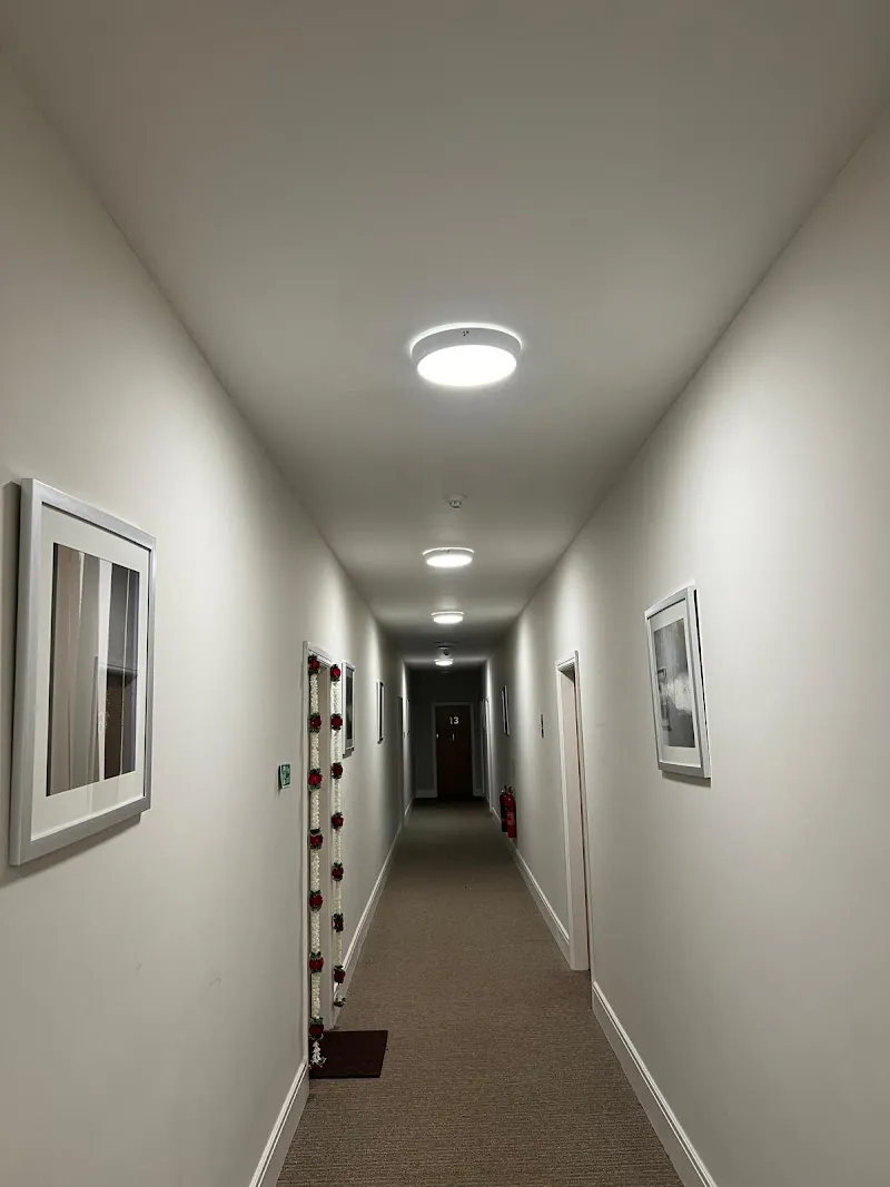 THE ELECTRICS (LOCAL ELECTRICIANS) LTD